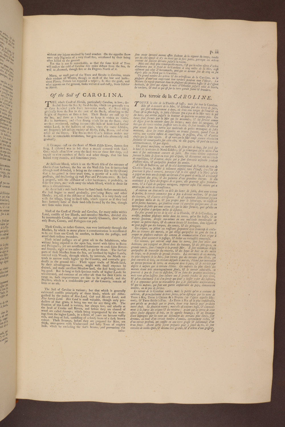 Page iii